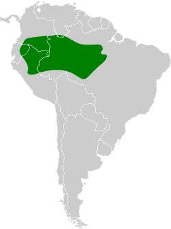 Distribución geográfica del cotinga rojo cuellinegro.