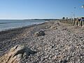 Platja de les Cases d'Alcanar
