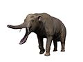 Platybelodon NT small