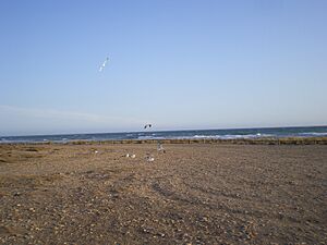 Archivo:Playa de Torregarcía