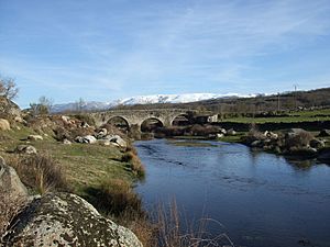 Archivo:Puente Sangusín Horcajo