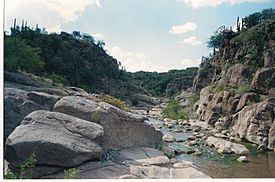 Archivo:Río Las Tumanas, Valle Fértil, San Juan, Arentina