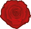 Archivo:Red rose 02