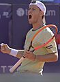 Retiro de Diego Schwartzman (cropped 2)