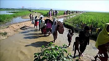 Archivo:Rohingya refugees entering Bangladesh after being driven out of Myanmar, 2017
