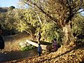 Sendero de las acequias - Cádiar (Granada)