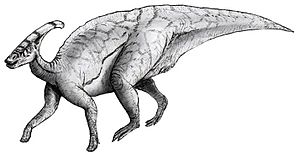 Archivo:Sketch parasaurolophus