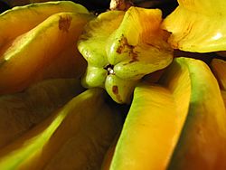 Starr-121109-0905-Averrhoa carambola-fruit with breadfruit from Pali o Waipio-Hawea Pl Olinda-Maui (24829253369).jpg