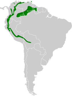 Distribución geográfica del guácharo.