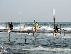 Archivo:Stilts fishermen Sri Lanka 02