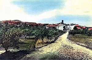 Archivo:Torrebaja-paisajeUrbano (ca.1965)