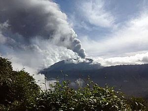 Archivo:Turrialba volcano eruption 2014. Costa Rica (1)