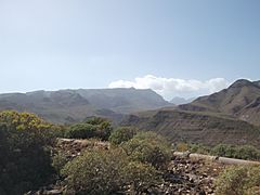 Vista del Amurga desde Aldea Blanca