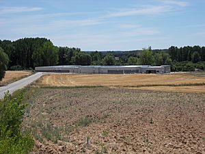 Archivo:Vista exterior del museo