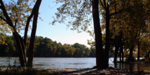 Archivo:Wabash River at Williamsport
