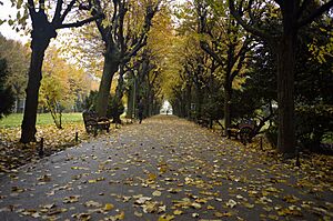 Archivo:A Path at Cismigiu in the Fall (15821214122)