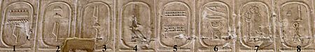 Archivo:Abydos Koenigsliste 1-8