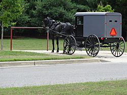 Amish parking lot Mechanicsville Maryland.jpg