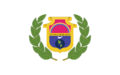 Bandera de Alta Verapaz