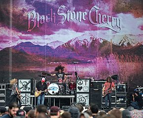 Black Stone Cherry 2014.jpg