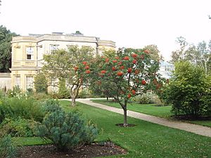 Archivo:Botanic Gardens, Oxford - geograph.org.uk - 247847