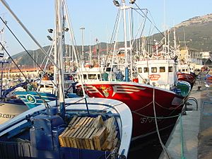 Archivo:Cantabria Santoña puerto pesquero 01 ni