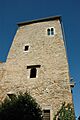 Castell de Palausator