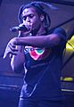 Denzel Curry (33425297142) (crop)