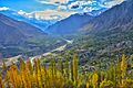 Duiker top - Hunza Valley