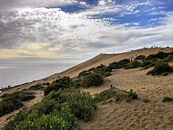 Archivo:Dunas concon chile 19092013