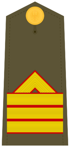 Ejerespadivi09