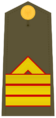 Ejerespadivi09