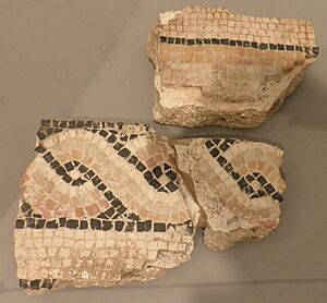 Archivo:Fragmentos de mosaico El Vergel