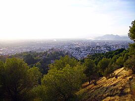 Granada Spain GM (33).JPG