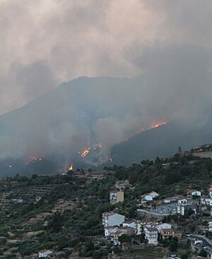 Archivo:Incendio 2022 Pedro Bernardo