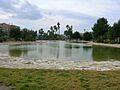 Jardin Vinalopo Elda