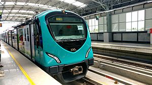 Archivo:Kochi Metro train at Palarivattom, Aug 2017