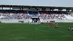 Archivo:Leganés - Guijuelo Play Off 2014