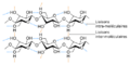 Liaisons hydrogène entre molécules de cellulose