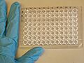Microtiter plate
