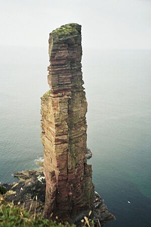 Archivo:Old man of hoy