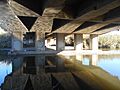 Parc Fluvial del Besòs (4)