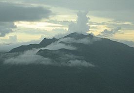 Pico El Yunque.jpg
