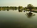 RIO CANDELARIA - panoramio