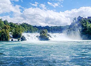 Archivo:Rhine Falls2