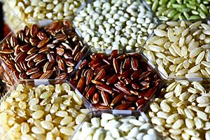 Archivo:Rice grains (IRRI)