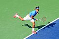 Roger Federer (9614138869)