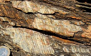 Archivo:Striated fault plane in sedimentary rock