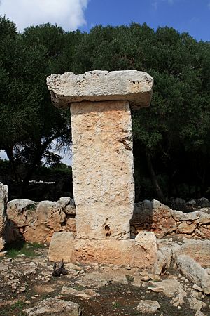 Archivo:Taula Binissafullet