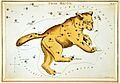 Ursa Major cph.3g10058